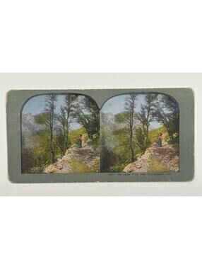 Antique Stereoview Card - No. 1251 Mt. Lowe Trail, Los Angeles, CA L-1